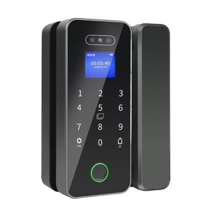 China Glass Smart Door Lock Office Glass Door Locks sliding glass door safety lock for sale