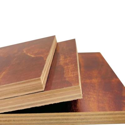 China Modern high quality sheet plywood plywood birch/pine/waterproof poplar/eucalyptus industrial outdoor plywood for sale