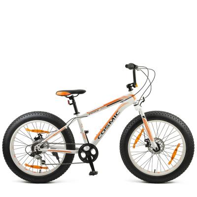 China 7 Steel Customized 24x4.0 Speed Steel Fat Bike for sale