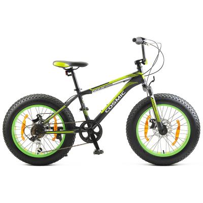 China Hot Selling 20 Inch 7 Speed Steel Kids Fat Tire Bike for sale