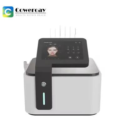 China RF EMS Face Lifting Máquina de beleza anti-rugas / Máquina de escultura EMS à venda