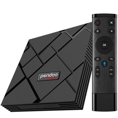 China Hot High Speed Android 9.0 Linux 2g Maximum Design Pendoo X10 Video S905x3 Full HD TV Support 4K Smart TV Box for sale