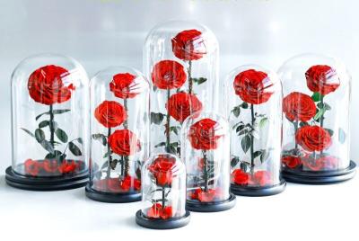 China Wholesale New Design Preserved flower Eternal Rose in Glass Home Decoration for sale