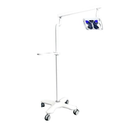 China Portable Dental Teeth Whitening Machine 12W Powerful 10 LED Cold Light Floor Standing Moveable Bleaching Unit Lamp for sale