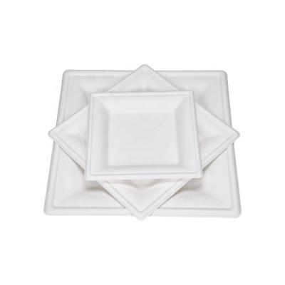 China Disposable Water And Oil Proof 100% Biodegradable Sugar Cane Pulp Square Disposable Dish Dish for sale