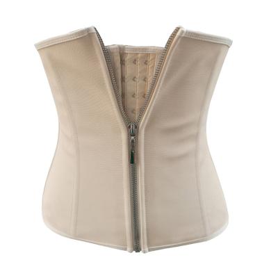 China Waist Slimming Waist Trainer New Style Custom Logo Zipper Belly Trimmer Support Cincher Slimming Fitness Waist Trainer Belt for sale