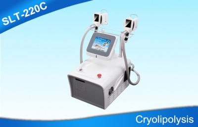 China O dobro segura a máquina do emagrecimento de Cryolipolysis para o corpo que esculpe/remoção gorda à venda