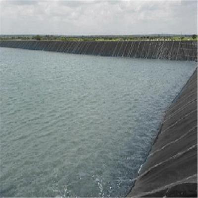 Κίνα 0.2mm-1.5mm HDPE Γεωμεμβράνη για ιχθυάδερμα Φτερούγες Φτερούγες Αντιοξειδωτικότητα και μακροζωία προς πώληση
