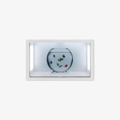 China 90 Inch Transparent LCD Screen Display 1920*1080 Transparent Display Screen for sale