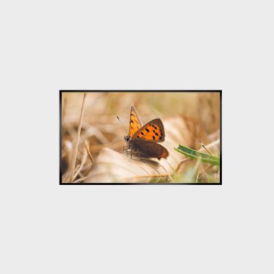 China 43 Zoll LCD-Panel 2000nits 1920*1080 LCMA-RX0430GL13-Z200 zu verkaufen