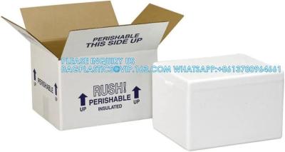 China 10L Polistireno espuma blanca espuma de poliestireno refrigerador caja de espuma de poliestireno caja de pescado productos de embalaje EPS caja de poliestireno extra grande en venta