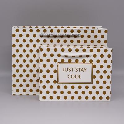 China OEM / ODM Customization Twisted Handle Paper Packing Bag For Clothing for sale