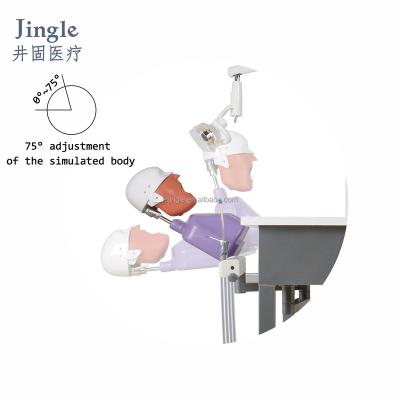 China manikin dental phantom head dental simulator for practice dental phantom head training dental simulator JG-A5+ for sale