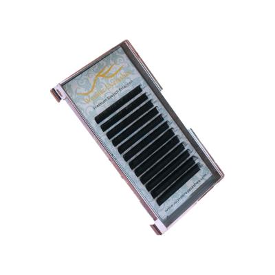 China Natural Long Wholesale Flat lashes Individual Eyelash Extensions Private Label Custom Fast Fanning Eyelash Extension Black Top for sale