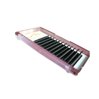China Natural Long Wholesale Private Label 0.20 Flat lashes Individual Eyelash Extensions OEM for sale