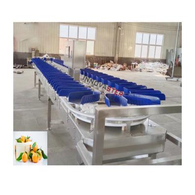 Chine 6000x1250x1750mm Haute précision Orange Produits de mer congelés Poids de tri de la machine Performance à vendre