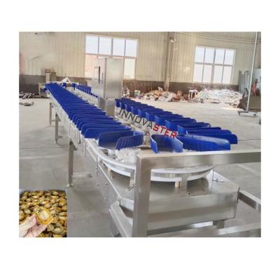 Chine Vérifiez le poids de la boutique alimentaire machine de tri du poids des huîtres pour les fruits et légumes 6000x1250x1750mm à vendre