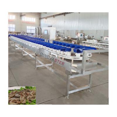 Chine Machine de tri en poids de 500 kg pour le tri de la mangue dans une bande transporteuse pour aliments surgelés à vendre