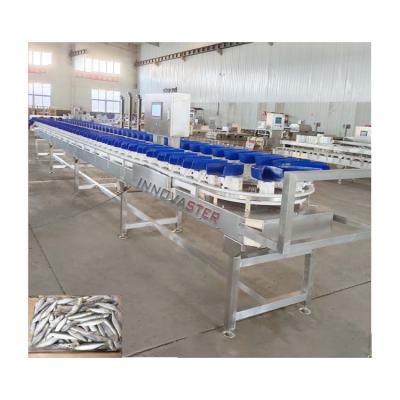 Chine 6000x1250x1750mm Pièce de poulet congelée/aile/abalone de pesage et de tri 500 kg à vendre