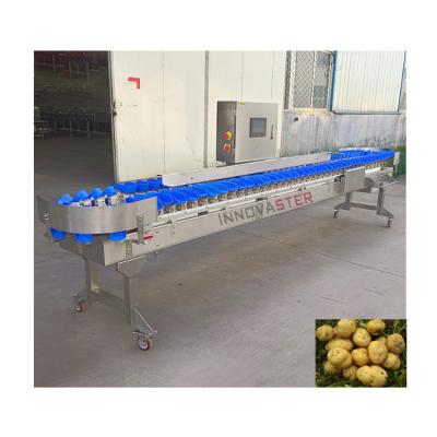 Chine Machine automatique de classement des poids pour les équipements de l'industrie alimentaire 500 kg à vendre