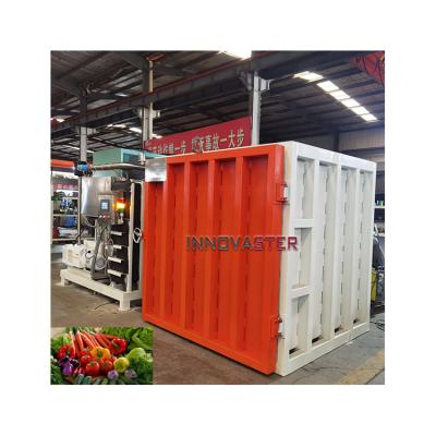 China 2023 Food Beverage Celery Flower Vegetable Vacuum Pre Cooling System in High Demand for sale