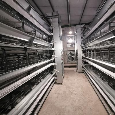 China el alimentador automático de la parrilla 380V, inmersión caliente 500KGS galvanizó el equipo de la jaula del pollo en venta