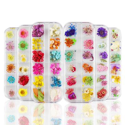 China Natural Flower Mixed Styles Real Nail Art Colored Dry Flowers Decoration Natural Pressed Dry Flowers For Nail Art for sale