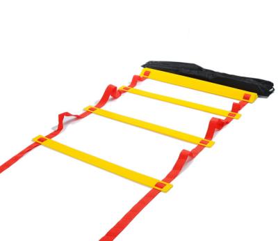 China Morden Speed Agility Football Folding Ladder for sale