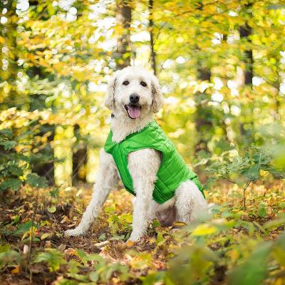 China Ideal de la chaqueta del animal doméstico del invierno de Packable para la capa del animal doméstico del estilo del chaleco de las actividades del Frío-tiempo con el forro polar en venta