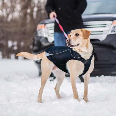 China Waterproof Dog Jacket, Soft Fleece Lined Dog Coat for Winter for sale
