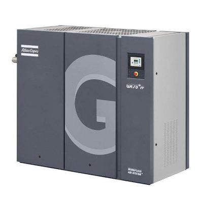 China 75kW Power GA 75+ 100 Hp Rotary Screw Air Compressor Atlas for sale