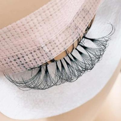 China Long Volume Witness Natural Eyelash Extension Easy Fan , Individual Lashes Extension Easy Fanning Blooming Eyelash Extensions for sale
