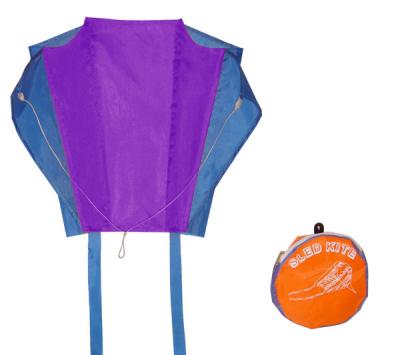 China Easy Carrying Nylon Kites Oem / Odm Acceptable Single Line Type 46*32CM for sale