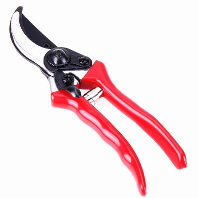 China Anti Slip Handle Garden Hand Pruning Tools Flower Cutting Scissors for sale