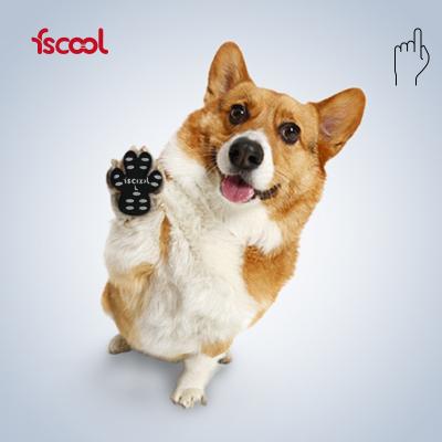 China 2022 Pet Stored Adhesive Foot Claw Protector Multifunctional Outdoor Anti-dirty Paw Stickers Dog Protector Soles for sale