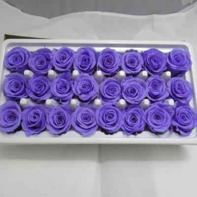 China Beautiful colorful preserved china whosale 2-3 cm rose head to wedding decoration for sale
