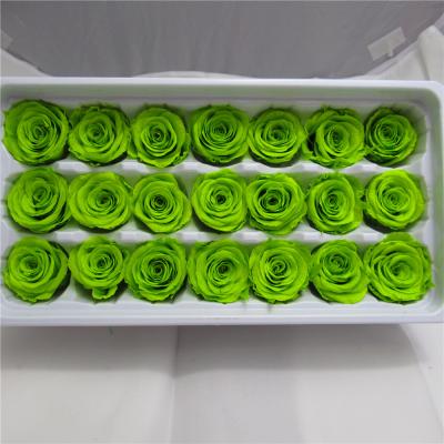 China Romantic And Pragmatic Wholesale Durable Natural Flower Preserved Roses 2-3cm Head For Christmas for sale