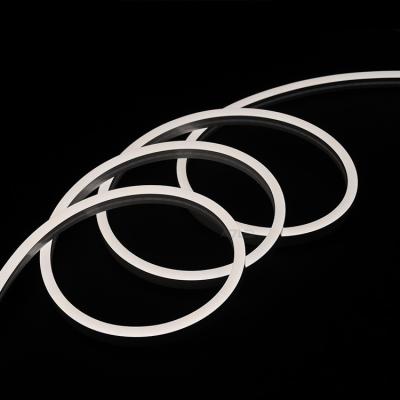 Cina 12v Inextstation LED Neon Light Flex 8mm Rope Light 5m Impermeabile IP65 Per esterni in vendita