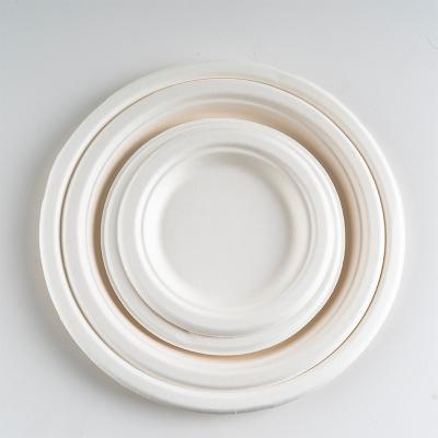 China Waterproof Sugarcane Paper Bagasse Pulp Biodegradable Take Out Food Restaurant Disposable Party Rolls Dishes Tray Dinner Set Waterproof for sale