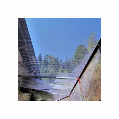 China Garden Shading Net Plant Customized Nylon Pe Durable Anti Bird Insect Netting Vegetable Gardens for sale