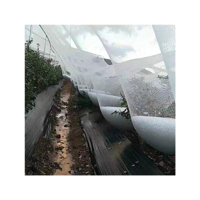 China Protect Crops From Hail HDPE Hail Net For Hail Protection Customized Wear Resistant Multifunctional Hail Net for sale