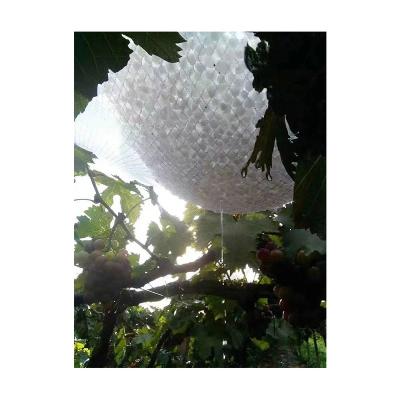 China Greenhouse Farm Garden HDPE Hail Protection Net Custom Hot Selling Anti-corrosion Orchard Hail Net for sale