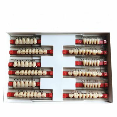 Cina Heraeus Dental Acrylic Resin Teeth High Stain Resistance Durability in vendita