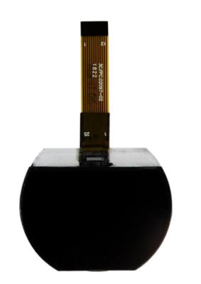 Cina Display LCD con circuito integrato a segmento di cog FPC con trasmissione negativa in vendita