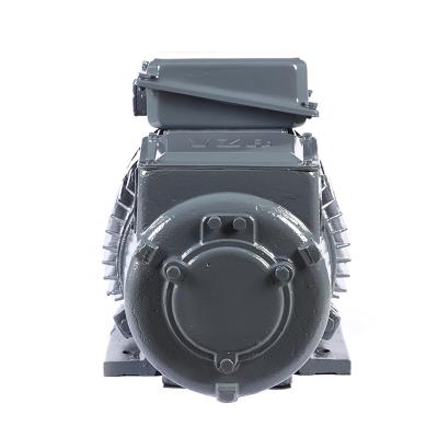 China Drip-proof High Temperature Low Noise China Manufacturer Electric Motors 7.5KW Asynchronous Motors for sale