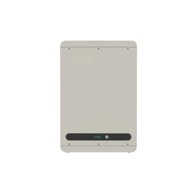 China Home Appliances Frisun Solar Good Price 48V Lifepo4 Battery Low Voltage LFP Lithium Battery for sale