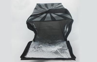 China Foldable Rectangle Insulated Iced Drinks Large Cooler Bag of PP Polyester for sale