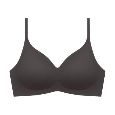 China Wholesale Women Underwear QUICK DRY Bra For Daily Use Seamless NO-Cut Padded Bra for sale