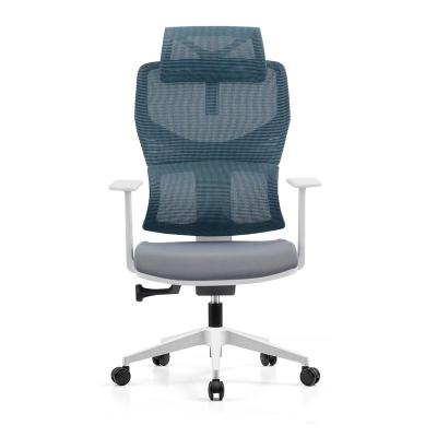 China High Frame Nylon Back Swivel Mesh Chair Ergohuman Executive Revolving Chair for sale