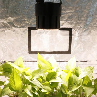 China Seed Starting Cylindrical Design Wholesale 150W LED Grow Light Greenhouse Waterproof Spectrum Lh351h Led Grow Light for sale